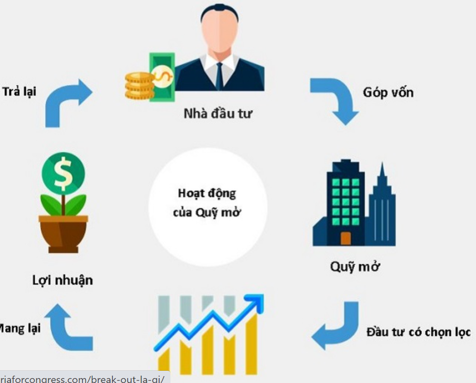 Chứng chỉ quỹ là gì?