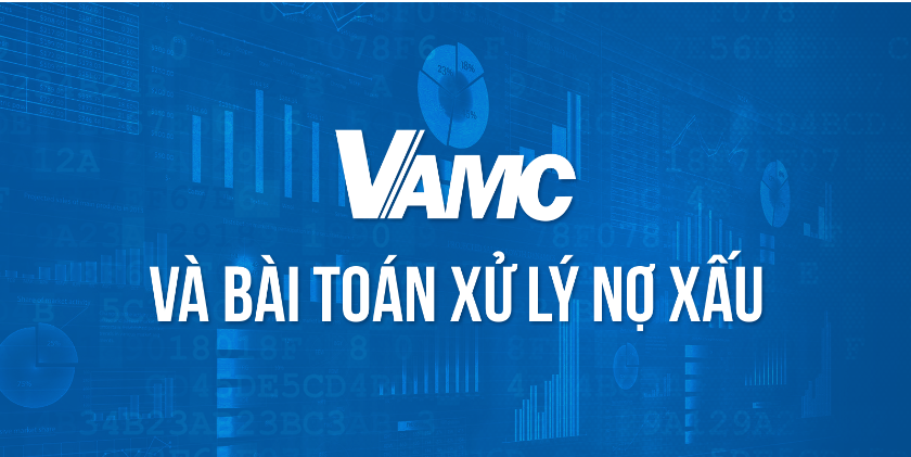 Các hoạt động của VAMC